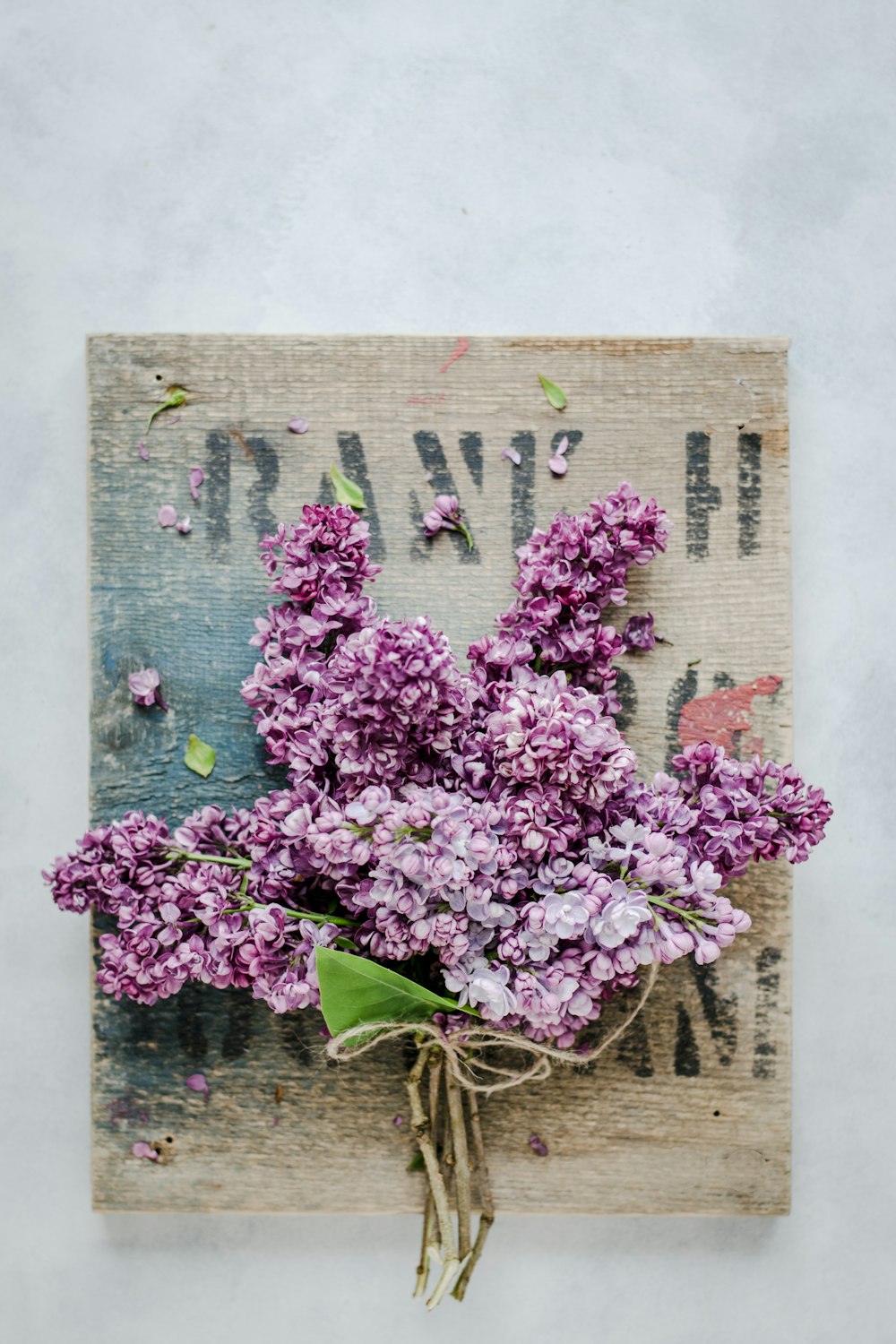 pink petaled flower on brown surfac e