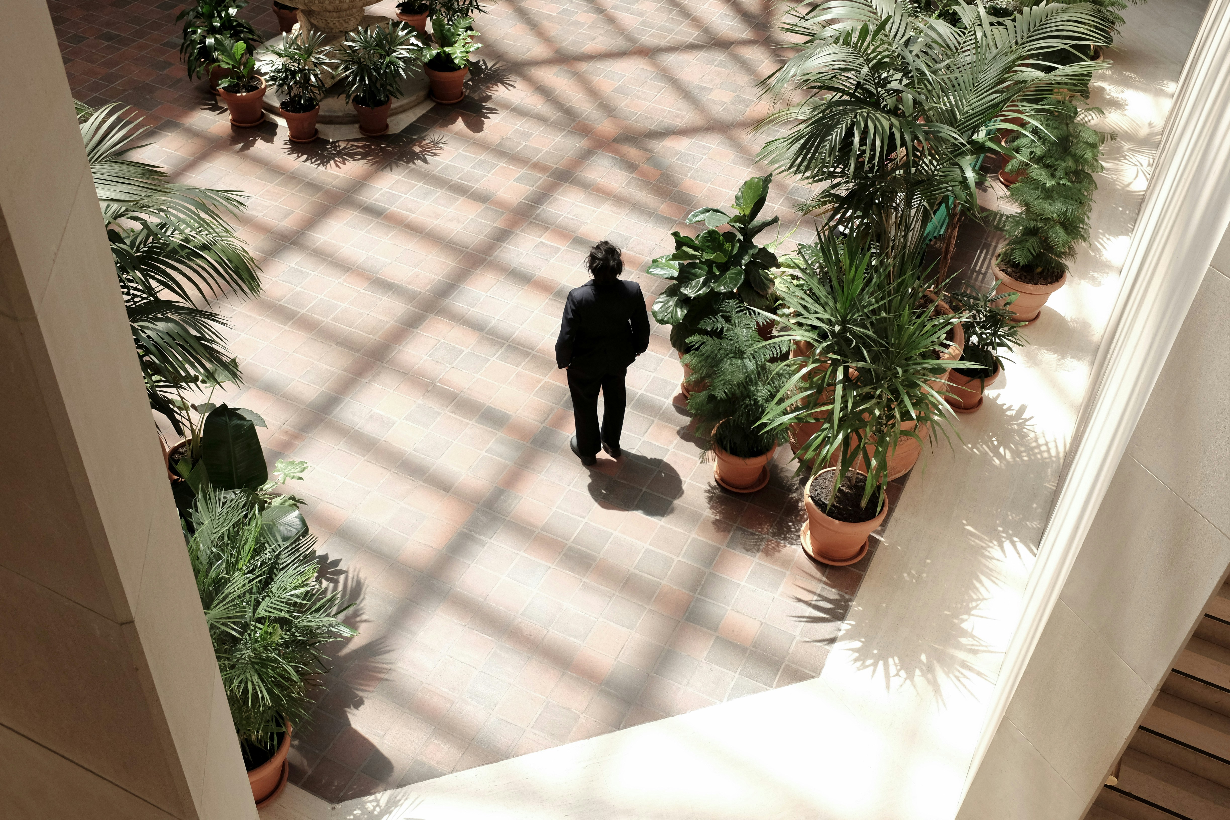 a man standing among plants under a sun-dappled glass roof