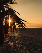 A cinematic shot of a luxury beach resort at sunset with warm golden light.