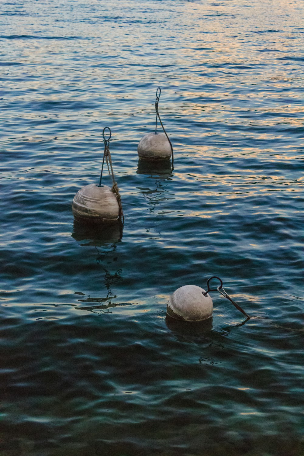 tree buoy balls on body of water