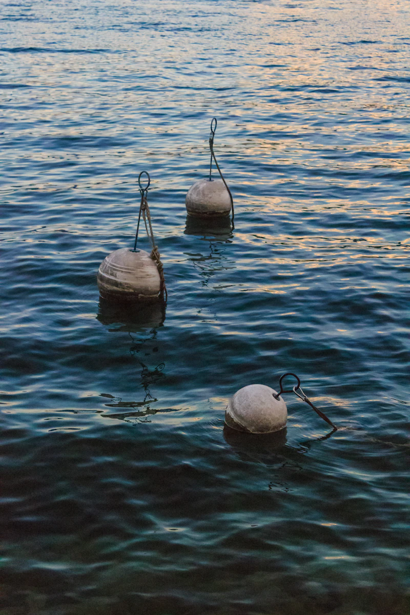 Three crab pot buoys floating on calm water