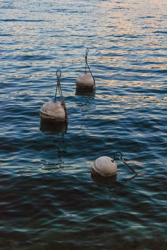 tree buoy balls on body of water in Lake Lucerne Switzerland