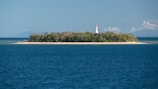 A small island with dense vegetation is surrounded by blue ocean waters. A white lighthouse with a red top stands prominently on the island, overlooking the sea. The sky is partly cloudy, and there are distant mountains visible on the horizon.