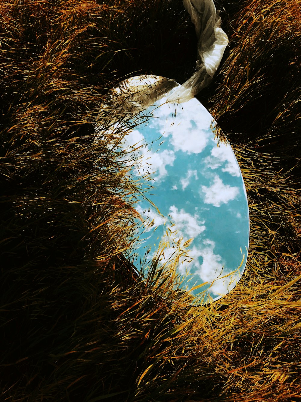 specchio rotondo sull'erba