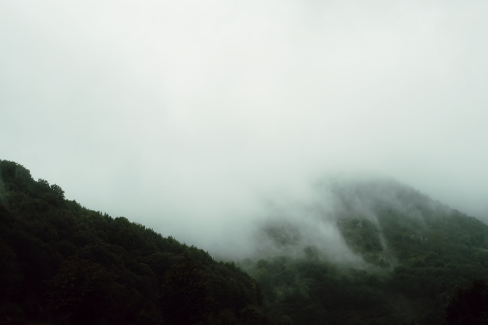 mountain covered by fog