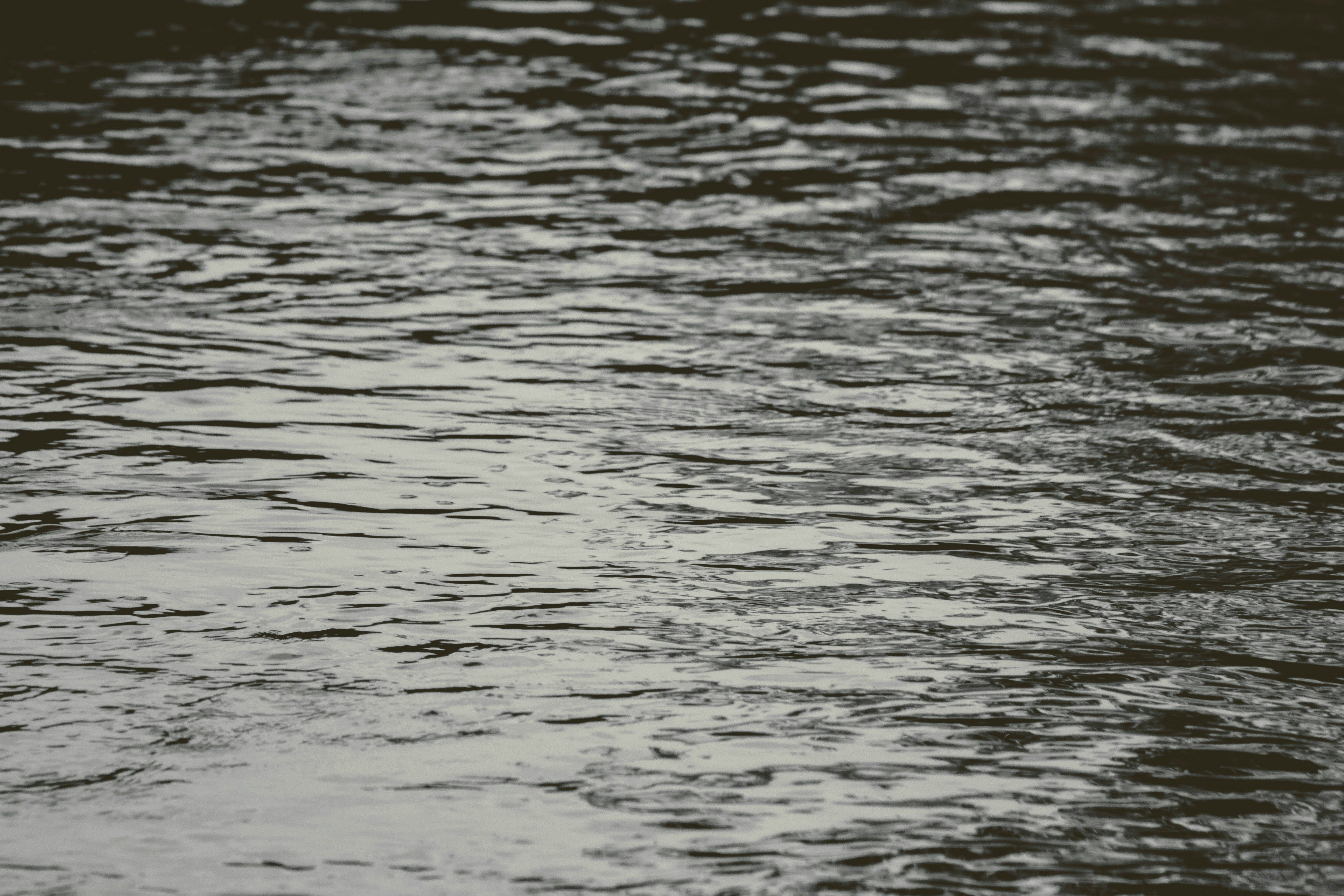 Photo by joshua_hoehne