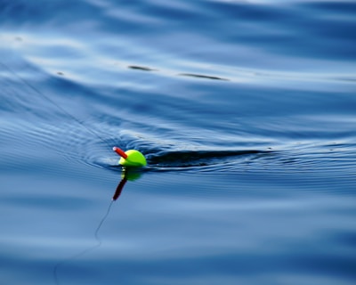 close up photography of floater