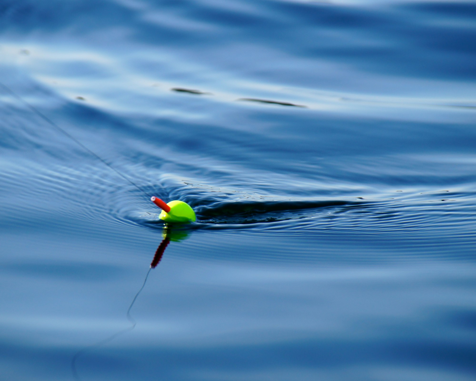 This photo was captured on a sunny and calm fall day at the lake. When the fish aren’t biting, the camera is snapping!