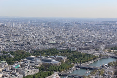 A vast cityscape view of Paris is visible, with a dense array of historic and modern buildings sprawling across the horizon. The iconic glass-and-steel roof of the Grand Palais is prominent in the foreground, surrounded by lush greenery. The River Seine flows through the city, with several bridges crossing it. A large Ferris wheel stands near the river, adding a modern touch to the classic architecture.