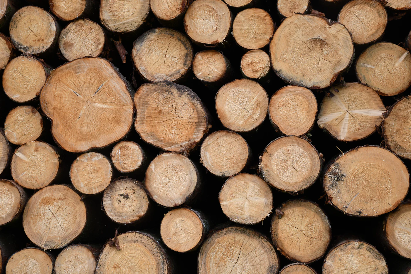 Stacked timber awaiting milling and grading