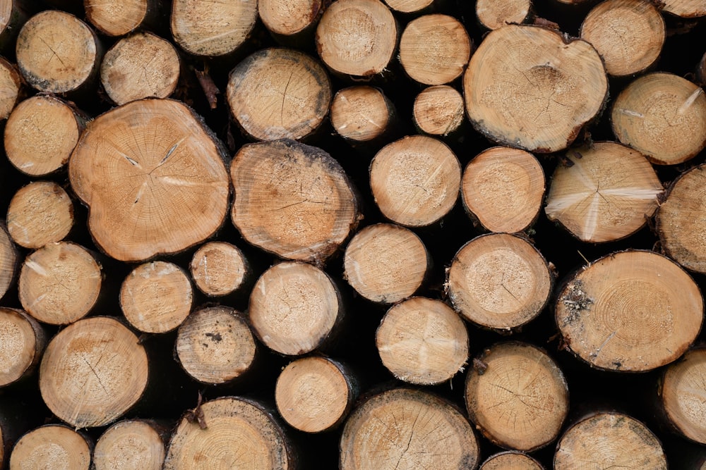 mucchio di tronchi di legno marrone