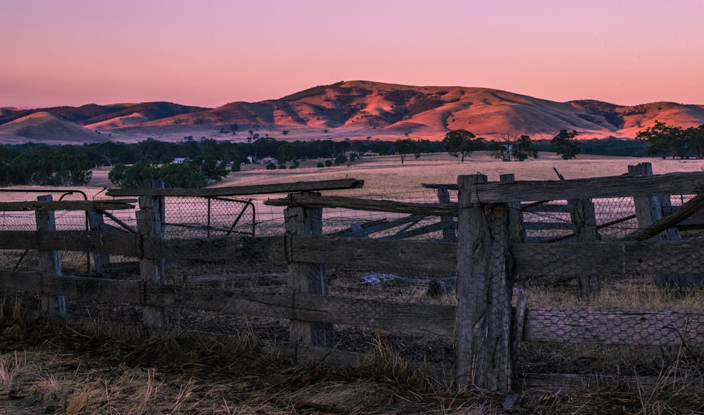 brown wooden fence