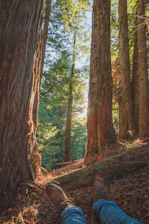 A serene scene of a person wearing a soft, minimalist t-shirt standing barefoot on a mossy forest floor with gentle sunlight filtering through leaves.