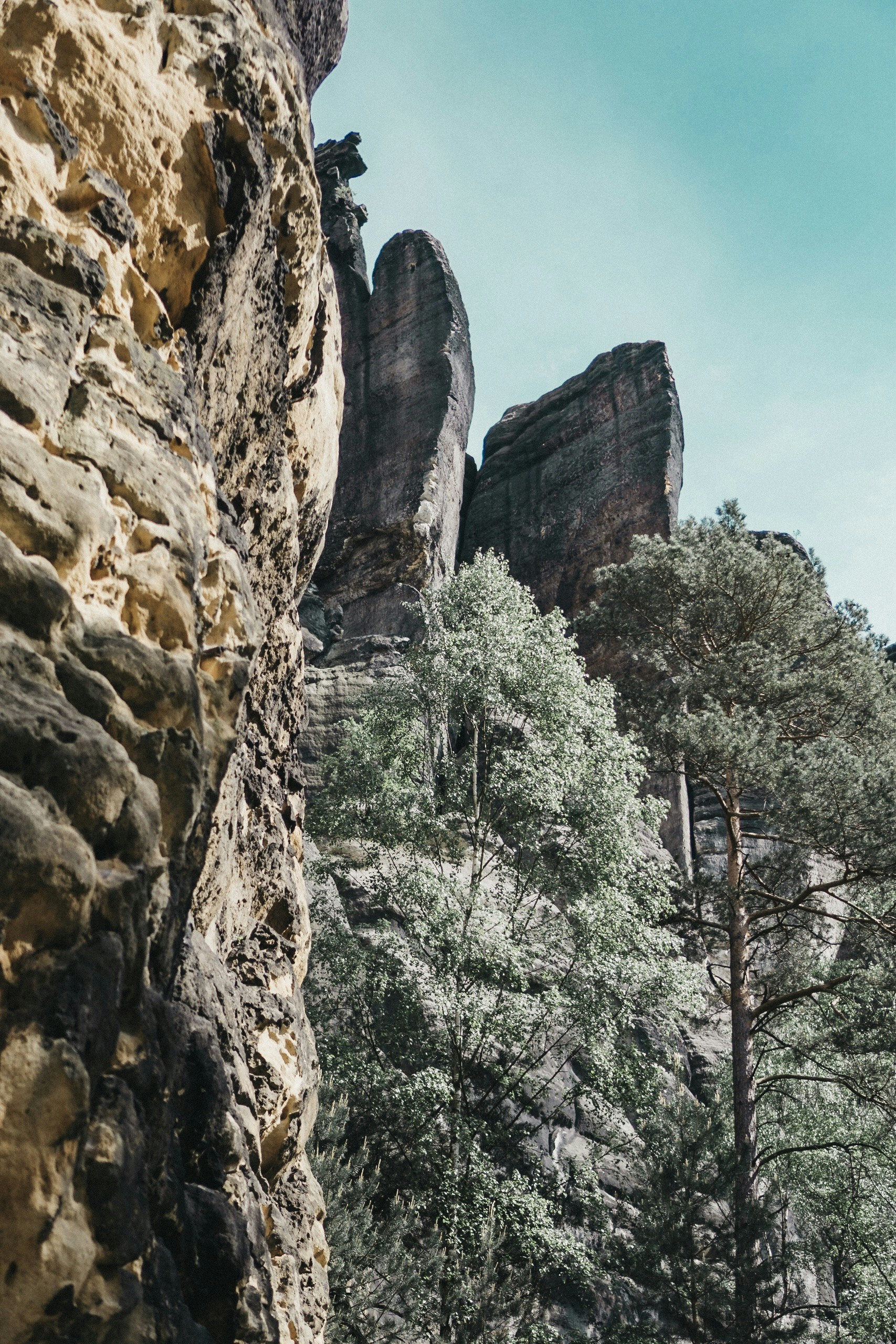 Photo by luiseandnic