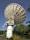 A large satellite dish is positioned against a clear blue sky. The structure is metallic and intricate, towering over green foliage and well-maintained gardens. Palm trees and various bushes surround the base of the satellite.