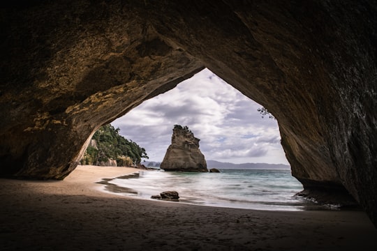 seashore with rock formation during daytime in Te Whanganui-A-Hei New Zealand