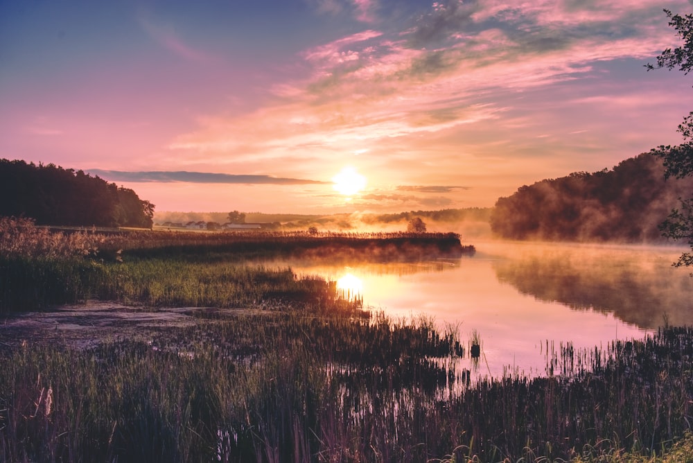 photo of green grass field beside calm body of water during golden hour