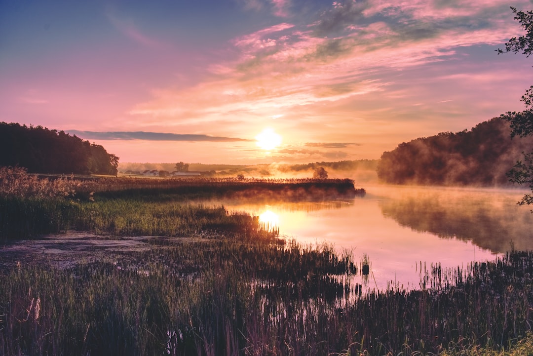 travelers stories about Nature reserve in Bösenbechhofen, Germany