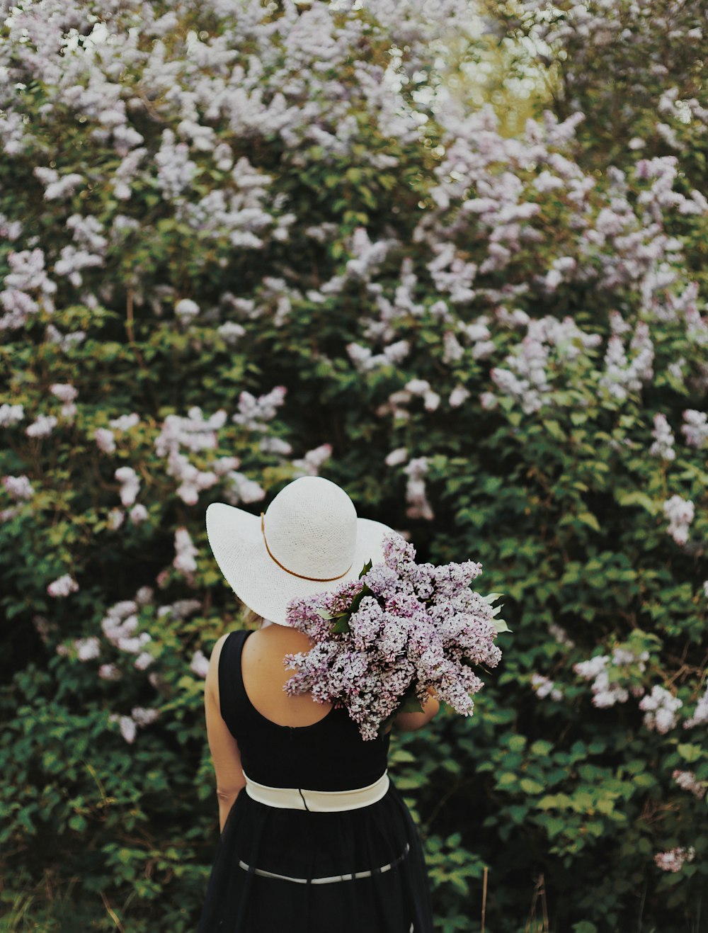 person carrying purple flowers