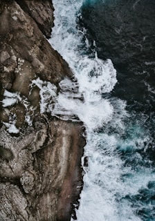 An aerial view of a rugged coastline with crashing waves and scattered sea birds.