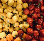 yellow and red bell peppers