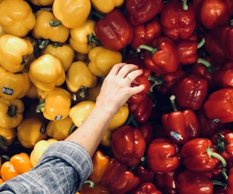 person holding bell pepper