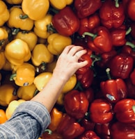 person holding bell pepper