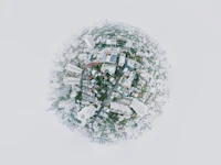 Polemik Tapal Batas Wilayah di Timor Tengah Selatan, Tokoh Adat Turun Tangan