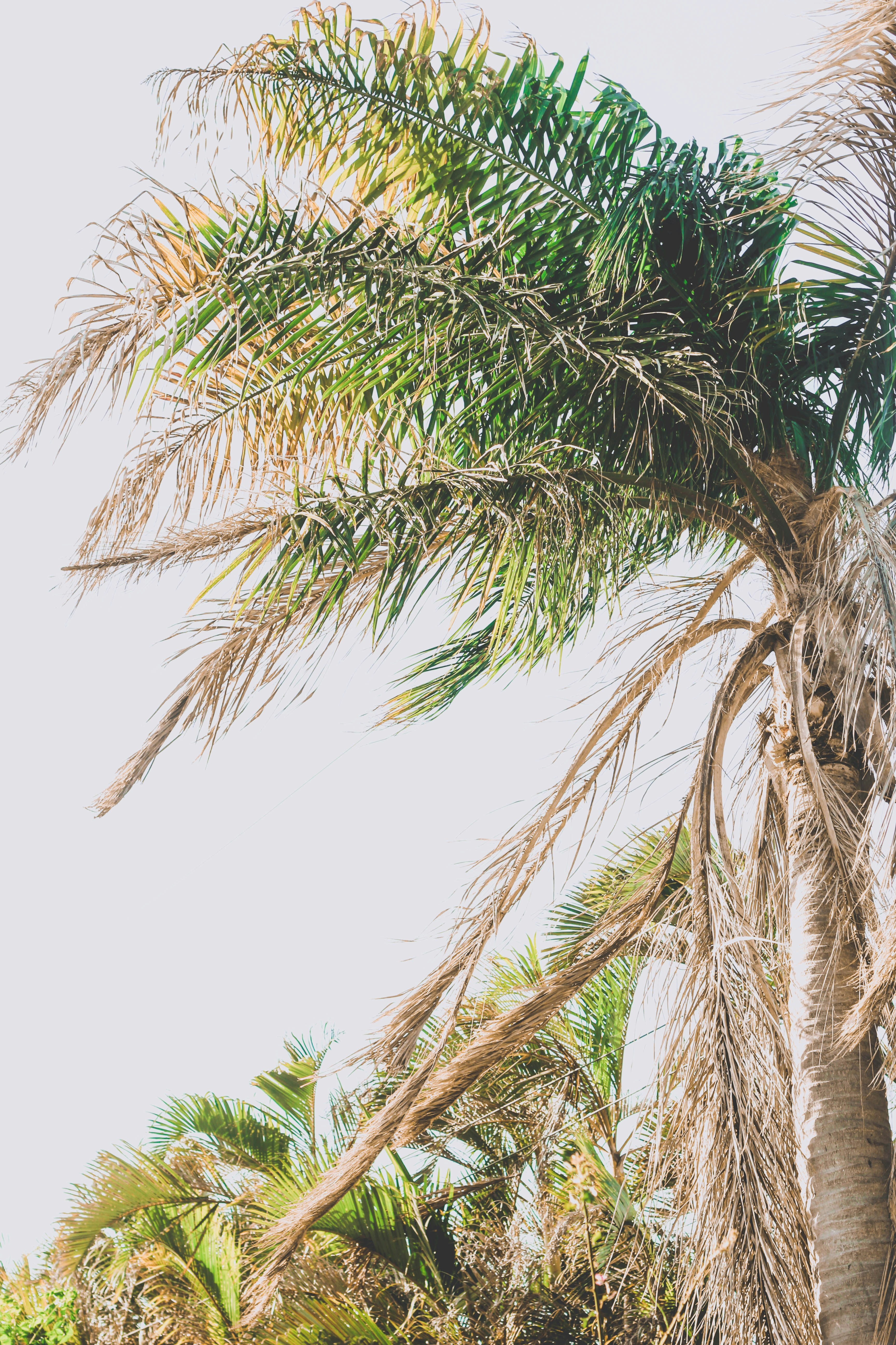 Photo by rebekahbaines