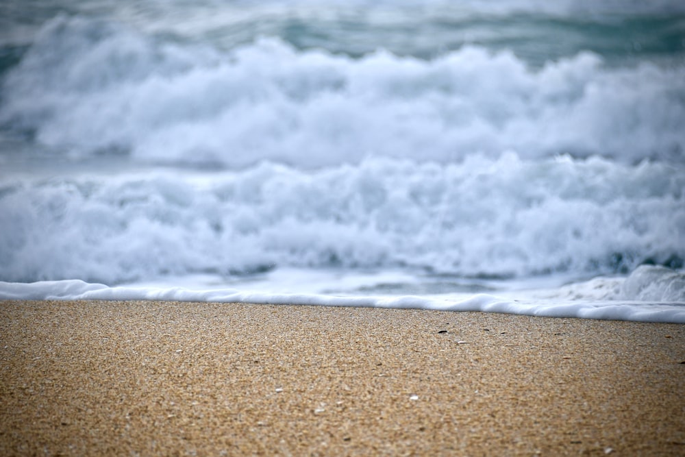 close-up photo of seashore during daytime