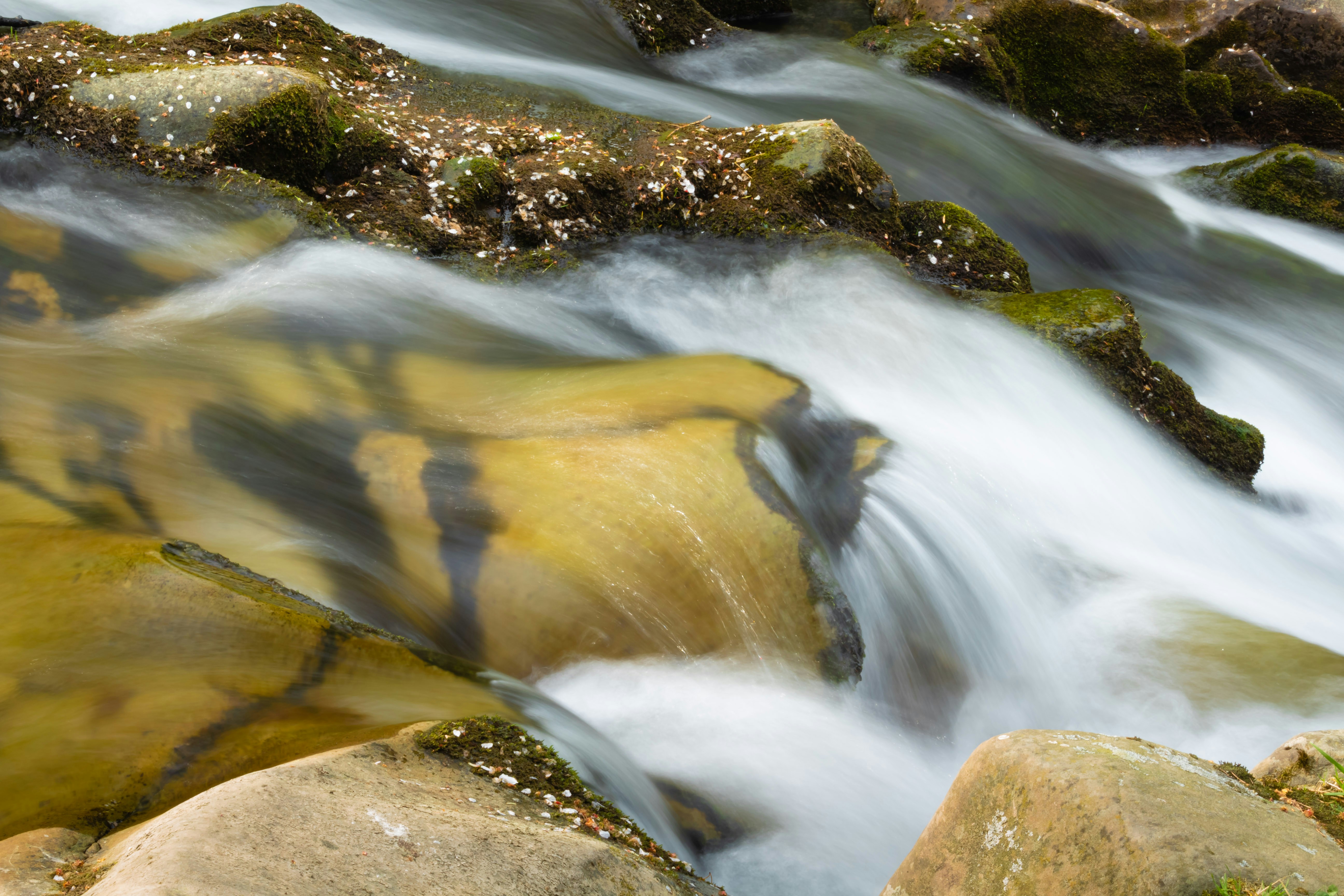 Fiume roccioso durante il giorno