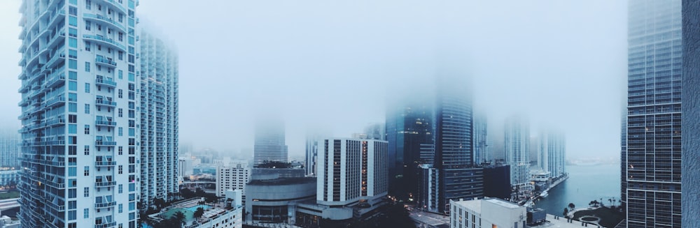 Vista de edificios con niebla