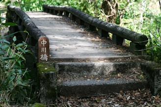 grey concrete bridge near trees