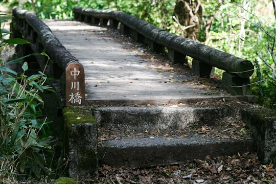 grey concrete bridge near trees in Kamikochi Japan