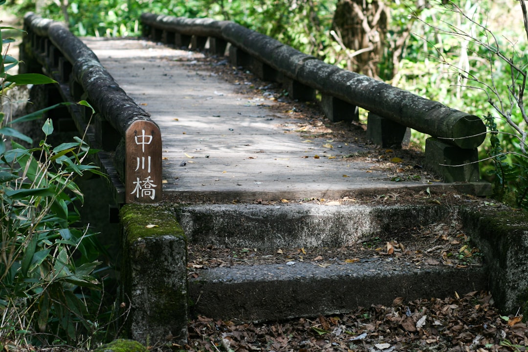grey concrete bridge near trees, I stumbled upon this bridge while trekking in Japanese Alps. I have no idea what the si