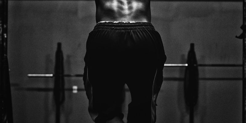 UFC Fight Night: Sterling vs Zalal