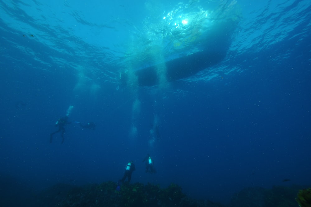 three divers dived on water