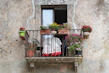 A small weatherproof polyester rug on a sunny balcony with potted plants around.