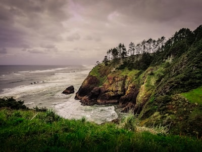 Ravine - From North Head Lighthouse Road, United States