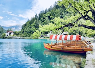 brown wooden boat with white and red striped ceiling dock on gray concrete seawall beside green leaf tree