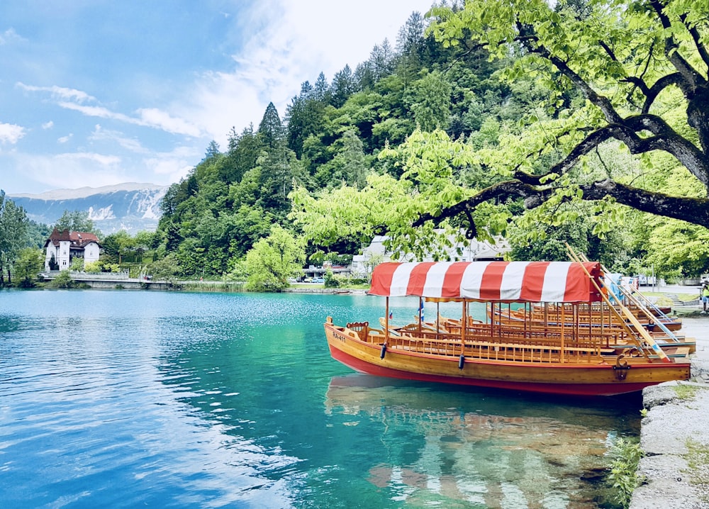 brown wooden boat with white and red striped ceiling dock on gray concrete seawall beside green leaf tree