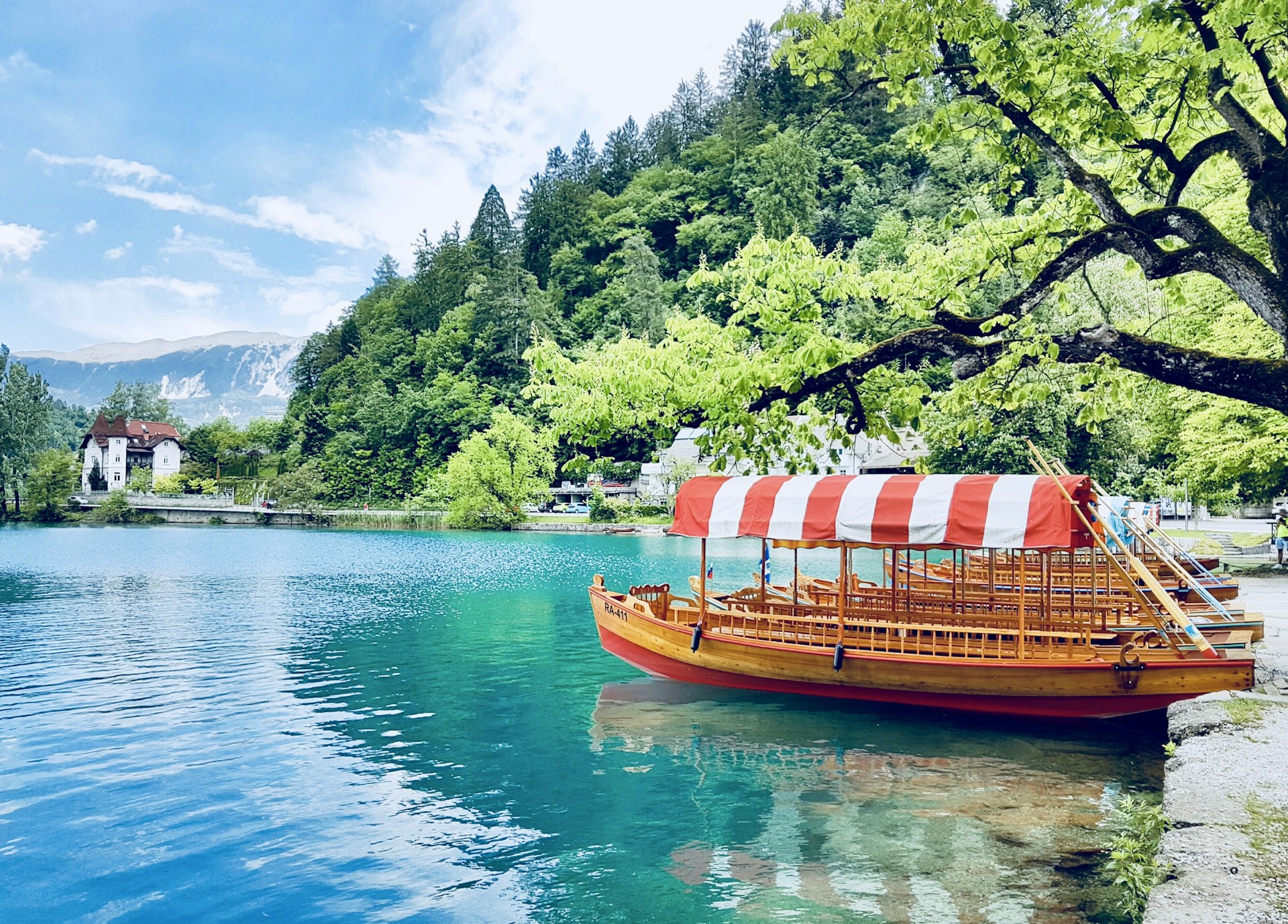 brown wooden boat with white and red striped ceiling dock on gray concrete seawall beside green leaf tree