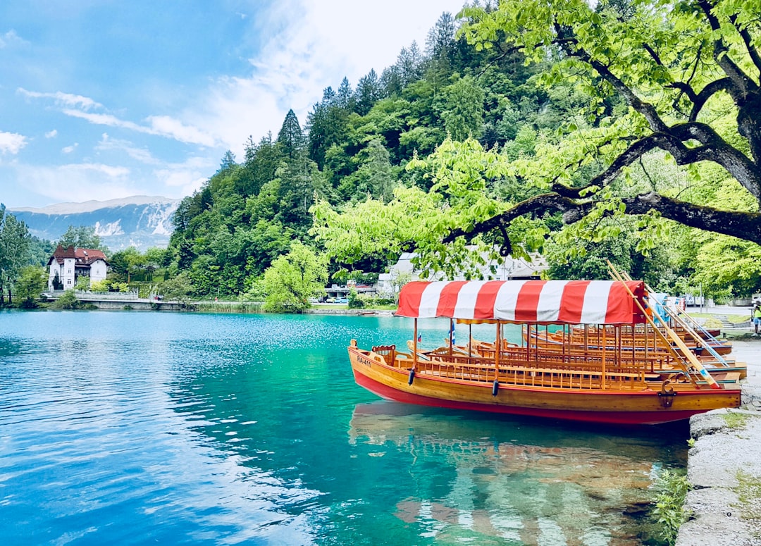 Mountain photo spot Lake Bled Jesenice