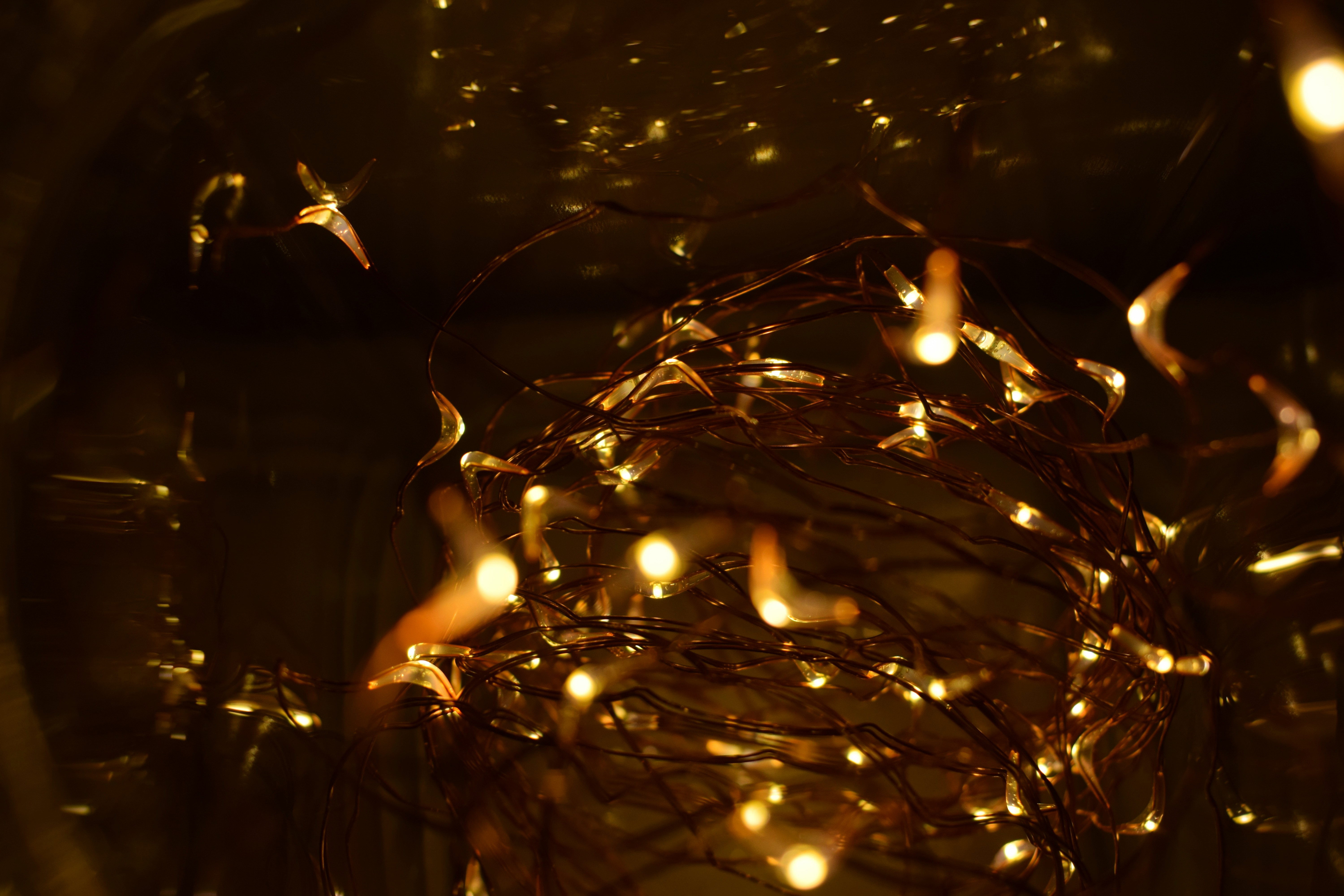 Reservasi Mudah Vena