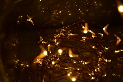 A glowing string of fairy lights creating a cozy and magical atmosphere at dusk.