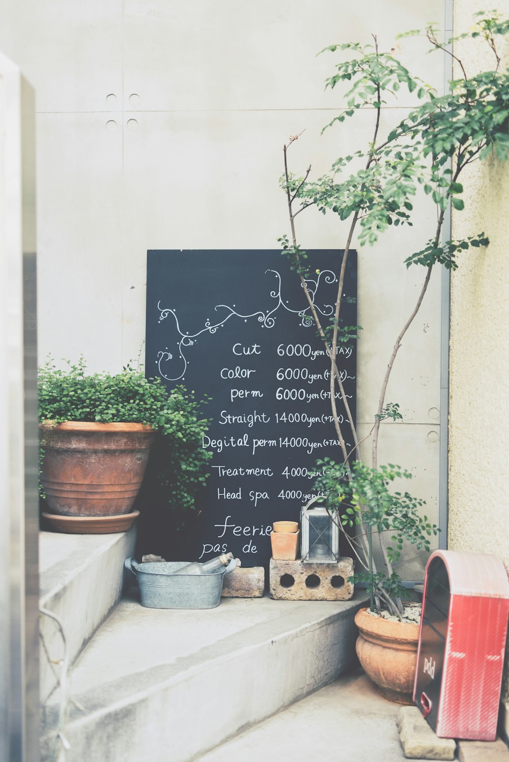 potted green leafed plants on white concrete stairs