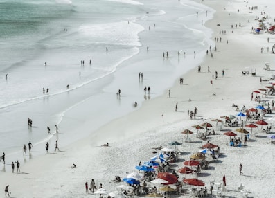 people on seashore near body of water