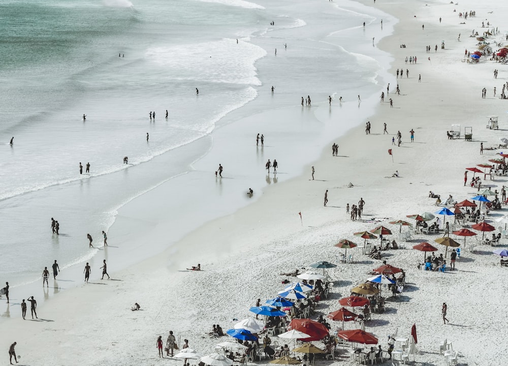 people on seashore near body of water