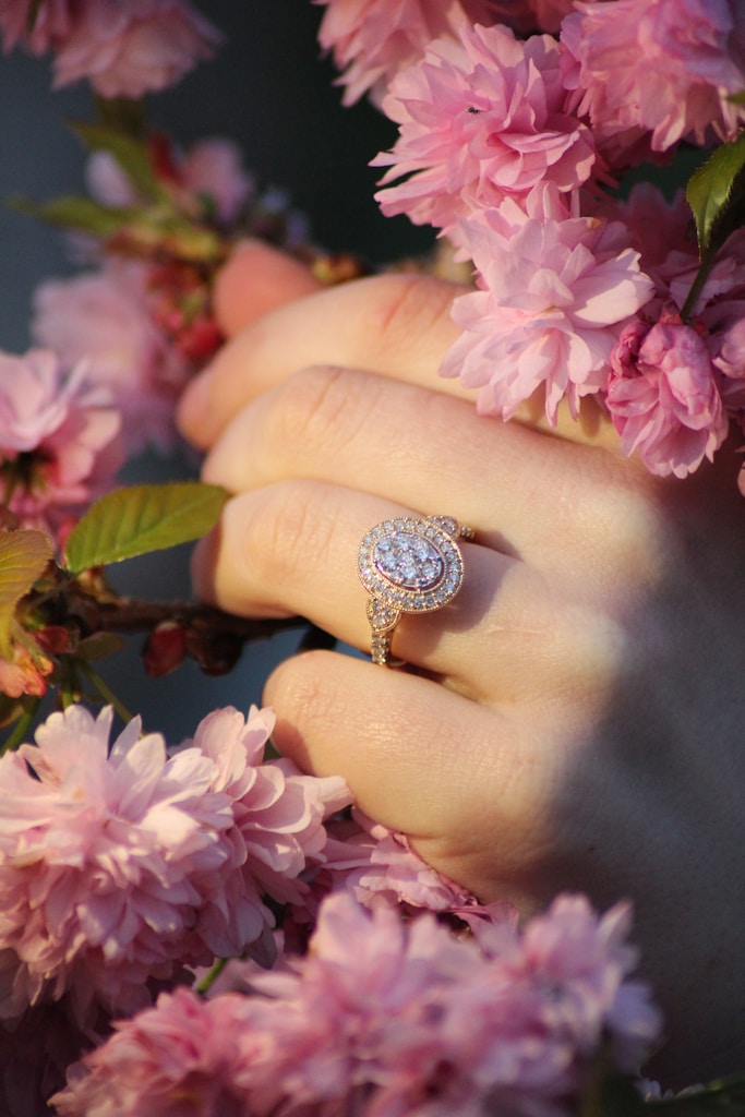 Blooming Garden