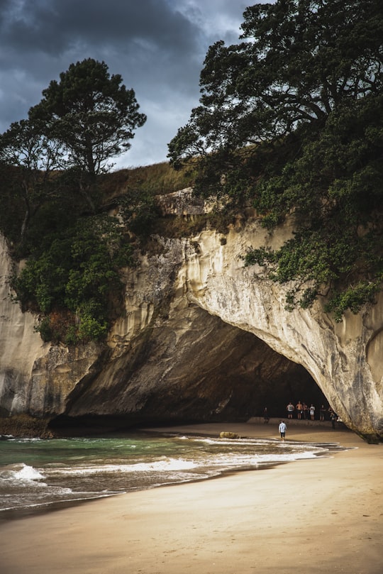 people inside cave near seashore during daytime in Te Whanganui-A-Hei New Zealand